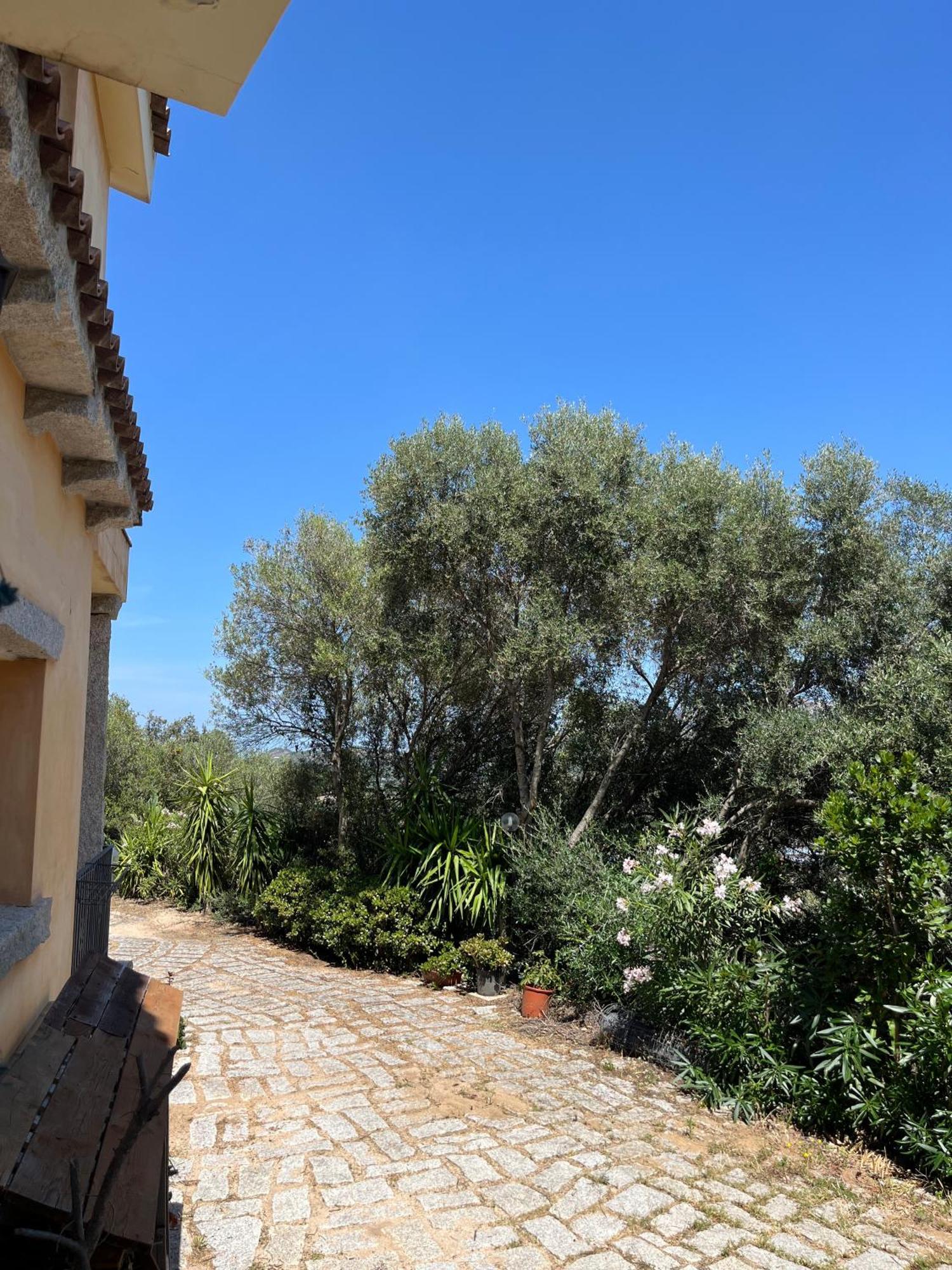Venti Di Vacanza - Levante & Grecale Olbia Exterior photo